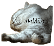 845380107