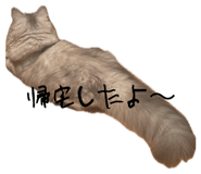845380109