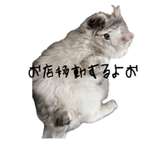 845380110