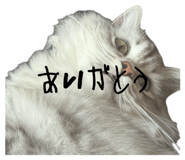 845380112