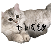 845380115
