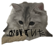 845380117