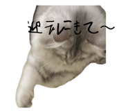 845380118