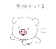 845380321