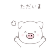 845380331