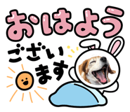 845380424