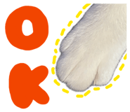 845380563