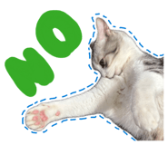 845380564