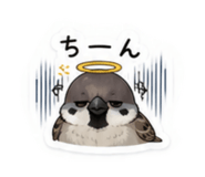 845380606