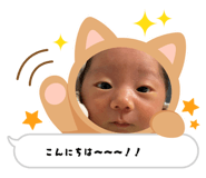 845380622