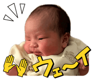 845380825