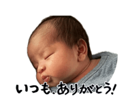 845380832