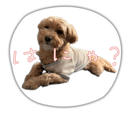 845380836