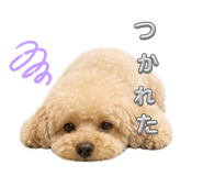 845381015