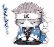 845381082