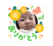 845381515