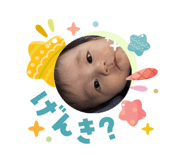 845381536