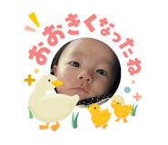 845381540