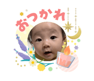 845381544