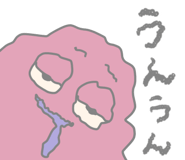 845381556