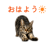 845382025