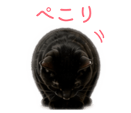 845382035