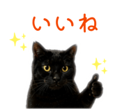 845382041