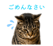 845382043