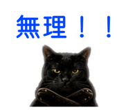 845382049