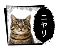 845382052