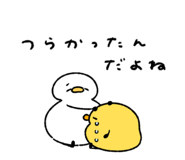 845384156