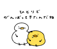 845384160