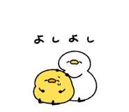 845384161
