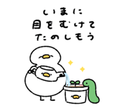 845384170