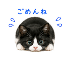 845384654