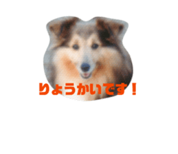845385545