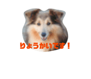 845385545