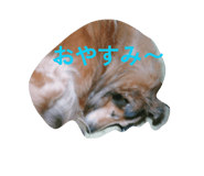 845385546