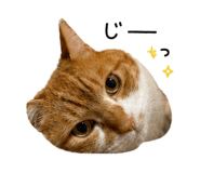 845388677
