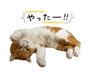 845388680