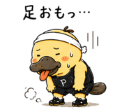 845388971