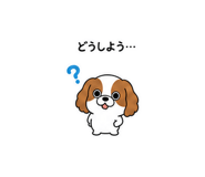 845389136