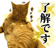 845389460