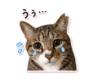 845390013