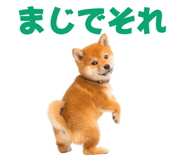 845390266