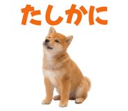 845390268