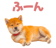 845390270