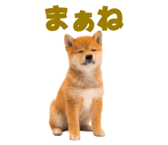 845390271
