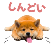 845390273