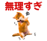 845390274